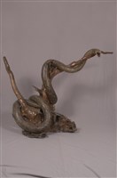 藏品(蟒蛇)的圖片